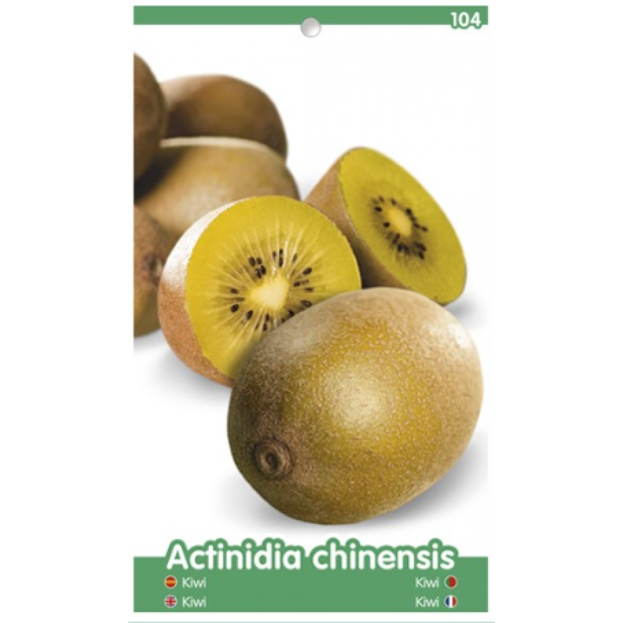 S.ARVORE FRUTO - KIWI POLINIZADOR