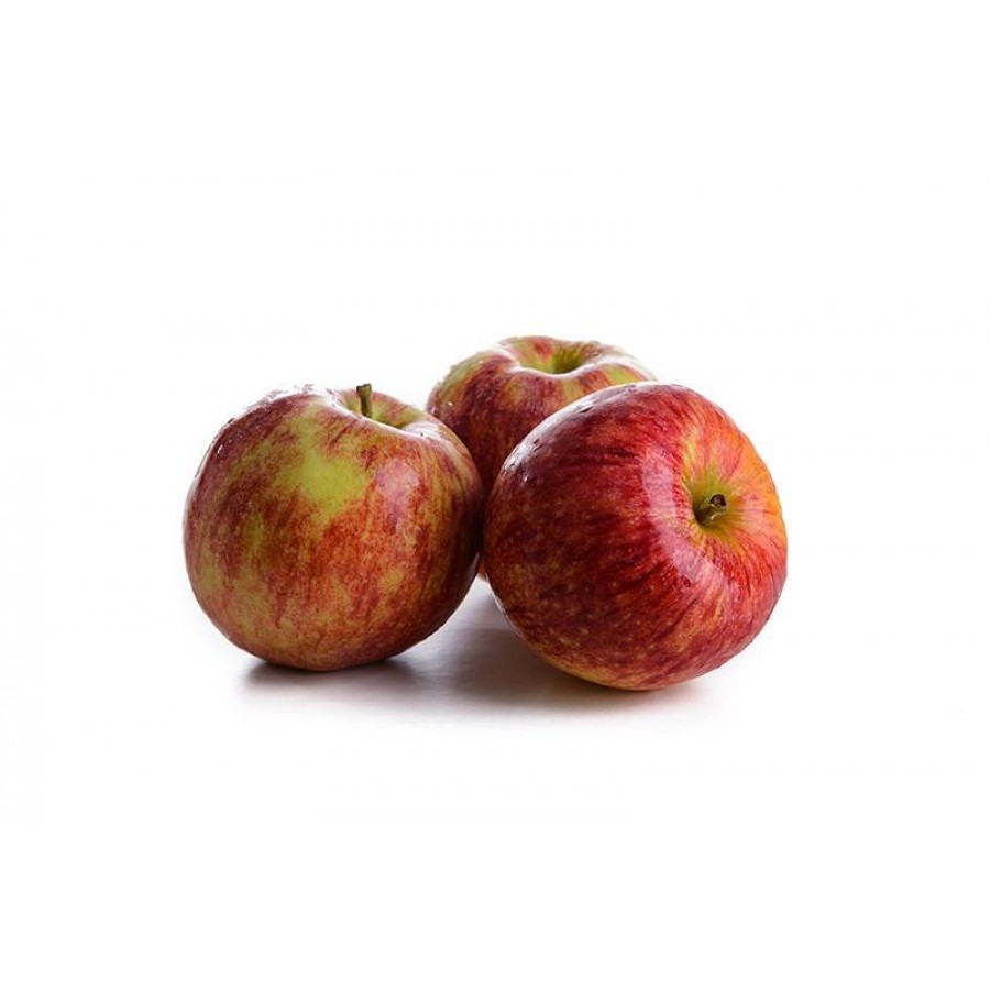 S.ARVORE FRUTO -MACIEIRA EM VASO JONAGORED S.ARVORE FRUTO -MACIEIRA EM VASO JONAGORED