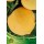 S.ARVORE FRUTO -PESSEGUEIRO EM VASO MARACOTAO CATHERINE