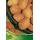S.ARVORE FRUTO -AMENDOEIRA EM VASO FERRAGNES