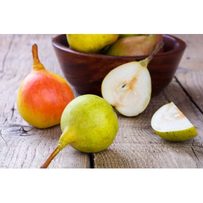 S.ARVORE FRUTO -PEREIRA EM VASO DONA JOAQUINA