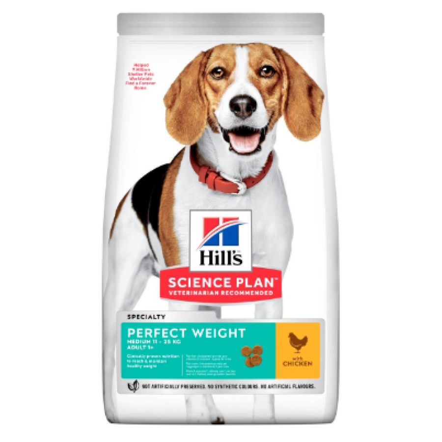 HILL'S SCIENCE PLAN ADULT CÃO PERFECT WEIGHT MEDIUM CHICKEN 2kg HILL'S SCIENCE PLAN ADULT CÃO PERFECT WEIGHT MEDIUM CHICKEN 2kg