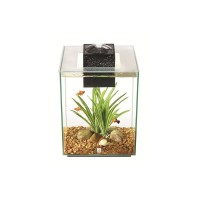 AQUARIO FLUVAL CHI 19L AQUARIO FLUVAL CHI 19L