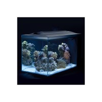 AQUARIO MARINHO FLUVAL EVO 19L AQUARIO MARINHO FLUVAL EVO 19L