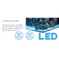 AQUARIO MARINHO FLUVAL EVO 19L AQUARIO MARINHO FLUVAL EVO 19L