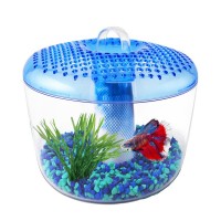 AQUARIO MARINA PARA BETTAS TORUS 3L AQUARIO MARINA PARA BETTAS TORUS 3L