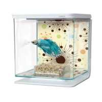 AQUARIO MARINA KITT BETTA FOGOS DE ARTIFÍCIO 2L