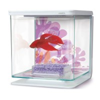 AQUARIO MARINA KITT BETTA FLOR  2L