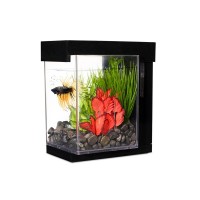 AQUARIO MARINA PARA BETTAS EZ CARE PRETO 3,7L AQUARIO MARINA PARA BETTAS EZ CARE PRETO 3,7L