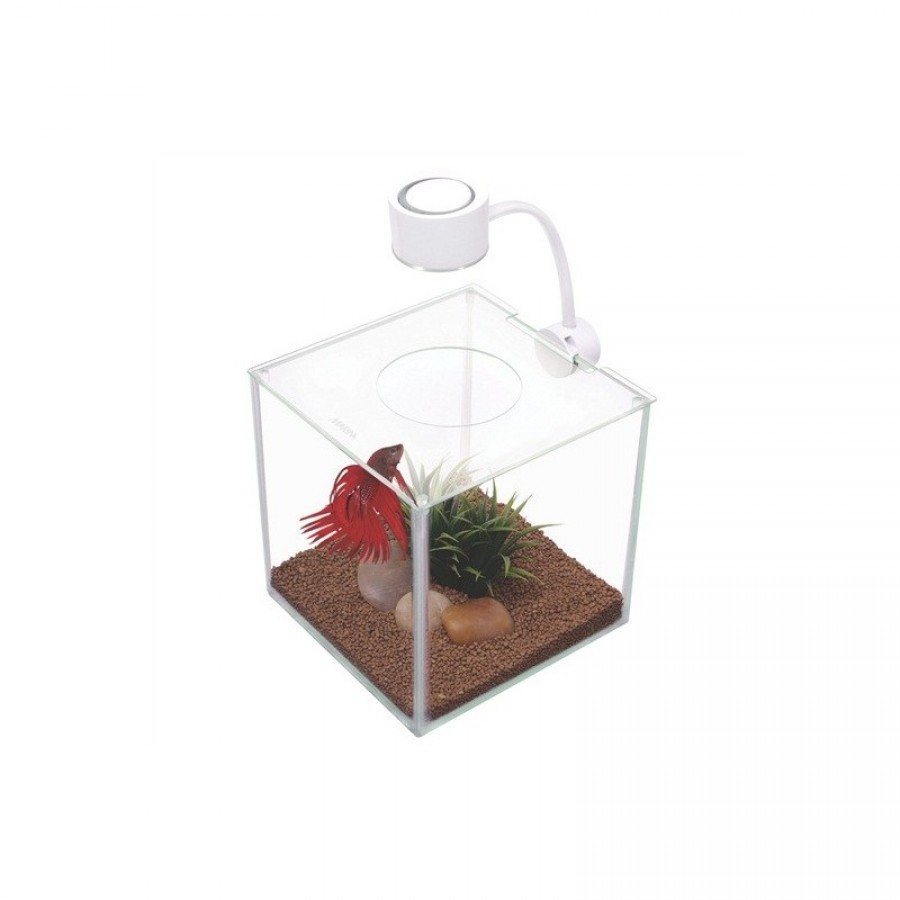 AQUARIO MARINA PARA BETTAS CUBUS VIDRO 3,4L