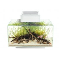 AQUARIO FLUVAL EDGE 2.0 BRANCO 23L AQUARIO FLUVAL EDGE 2.0 BRANCO 23L