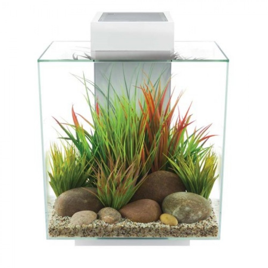 AQUARIO FLUVAL EDGE 2.0 BRANCO 46L AQUARIO FLUVAL EDGE 2.0 BRANCO 46L