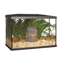 AQUARIO MARINA 5G KIT 19L