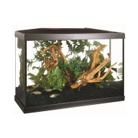 AQUARIO MARINA 20G KIT 75L