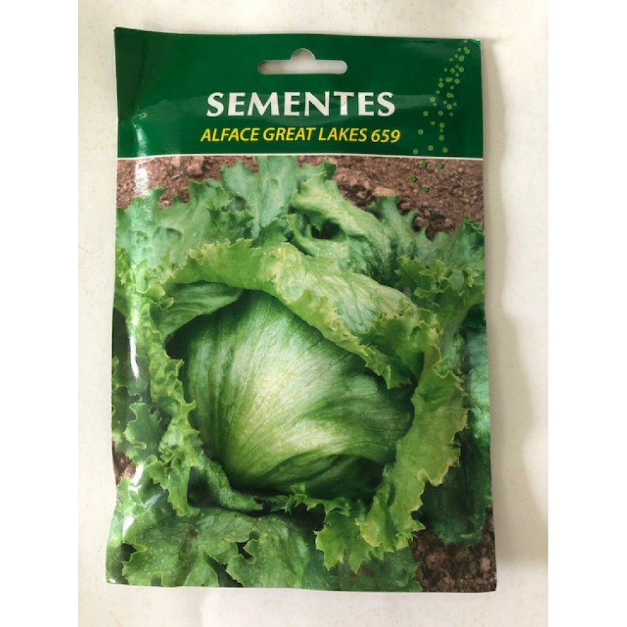 SEMENTE ALFACE GREAT LAKES 659 - 50GR SEMENTE ALFACE GREAT LAKES 659 - 50GR