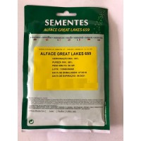 SEMENTE ALFACE GREAT LAKES 659 - 50GR SEMENTE ALFACE GREAT LAKES 659 - 50GR