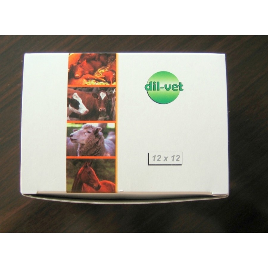 AGULHAS 10 x 1,0 L.L. DIL-VET 12 UNIDADES<br> AGULHAS 10 x 1,0 L.L. DIL-VET 12 UNIDADES<br>