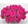 SEMENTES DE FLORES MILLIFLORA  ANTIRRHINUM MAJUS F1 CANDY SHOWERS ROSE (ROSE) - 1000 SEMENTES