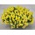 SEMENTES DE FLORES MILLIFLORA  ANTIRRHINUM MAJUS F1 CANDY SHOWERS YELLOW (AMARELO) - 1000 SEMENTES