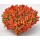 SEMENTES DE FLORES MILLIFLORA  ANTIRRHINUM MAJUS F1 CANDY SHOWERS ORANGE (LARANJA) - 1000 SEMENTES