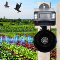REPELENTE ESPANTA AVES SONOROCOM FLASH