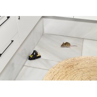 ROE TRAP RATOEIRA BLACK EDITION MASSO PEQUENA - BLISTER 2 UNIDADES ROE TRAP RATOEIRA BLACK EDITION MASSO PEQUENA - BLISTER 2 UNIDADES
