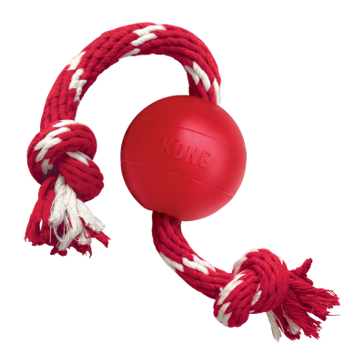 KONG BRINQUEDO PARA CÃES BALL W/ROPE SMALL