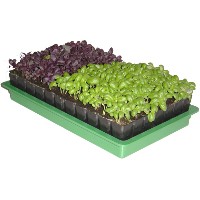 MINI ESTUFA GHG1 –39x25x24cm MINI ESTUFA GHG1 –39x25x24cm