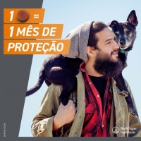 FRONTPRO XL CAES 25 - 50KG - 3 COMP. FRONTPRO XL CAES 25 - 50KG - 3 COMP.