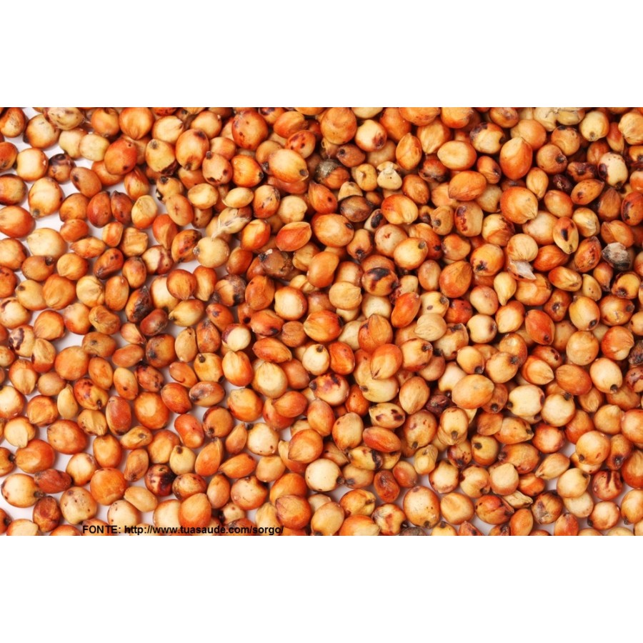 ALEIXO MASSAMBALA SORGO VERMELHO - 25 KG ALEIXO MASSAMBALA SORGO VERMELHO - 25 KG
