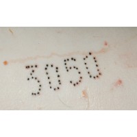 TINTA PARA TATUAGEM C/MARTELO PRETA- 1LT TINTA PARA TATUAGEM C/MARTELO PRETA- 1LT