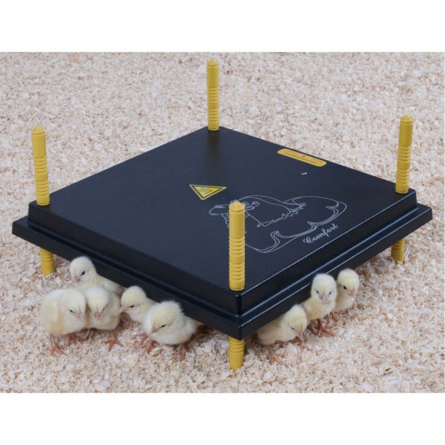 CONFORTEK CRIADEIRA PINTO KUMO 40X40 CM WP40 38WT CONFORTEK CRIADEIRA PINTO KUMO 40X40 CM WP40 38WT