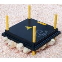 CONFORTEK CRIADEIRA PINTO KUMO 30X30 CM WP30 20WT CONFORTEK CRIADEIRA PINTO KUMO 30X30 CM WP30 20WT