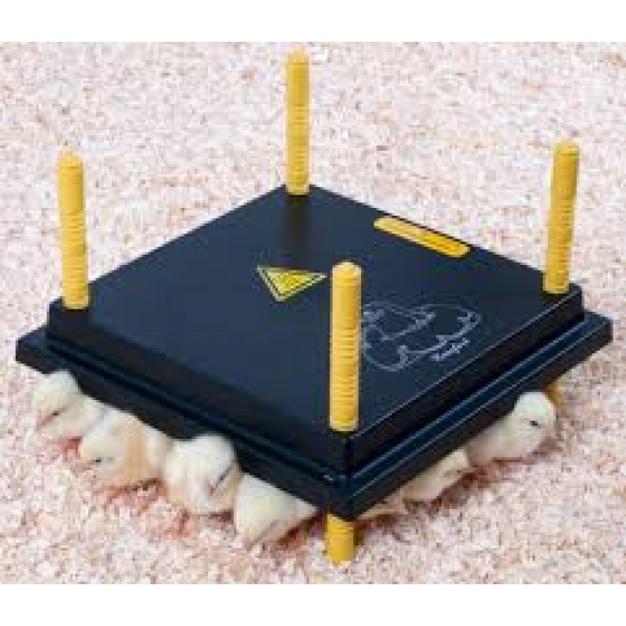 CONFORTEK CRIADEIRA PINTO KUMO 30X30 CM WP30 20WT CONFORTEK CRIADEIRA PINTO KUMO 30X30 CM WP30 20WT