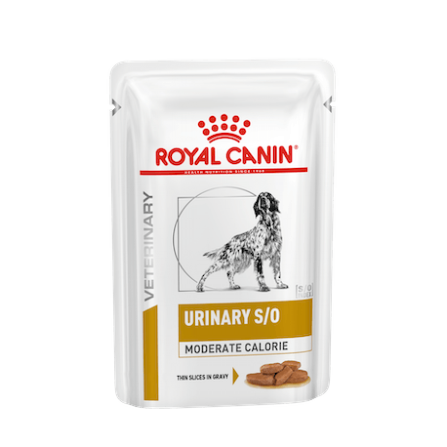 ROYAL CANIN VET WET CAO URINARY MODERATE CALORIE (12X100G) ROYAL CANIN VET WET CAO URINARY MODERATE CALORIE (12X100G)