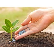 FERTILIZANTES