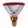 POWERHEAT LAMPADA DE AQUECIMENTO 175 WT