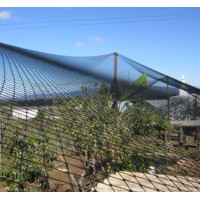 REDE COBERTURA VIVEIROS - MALHA 22MM - 6,2X5M