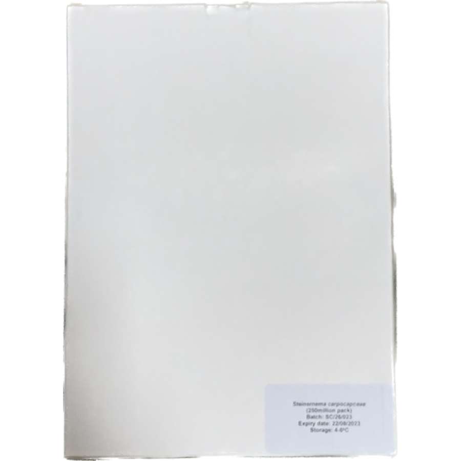 BIOMIP NEMATODO CARPOCAPSAE - 500 MILHOES BIOMIP NEMATODO CARPOCAPSAE - 500 MILHOES