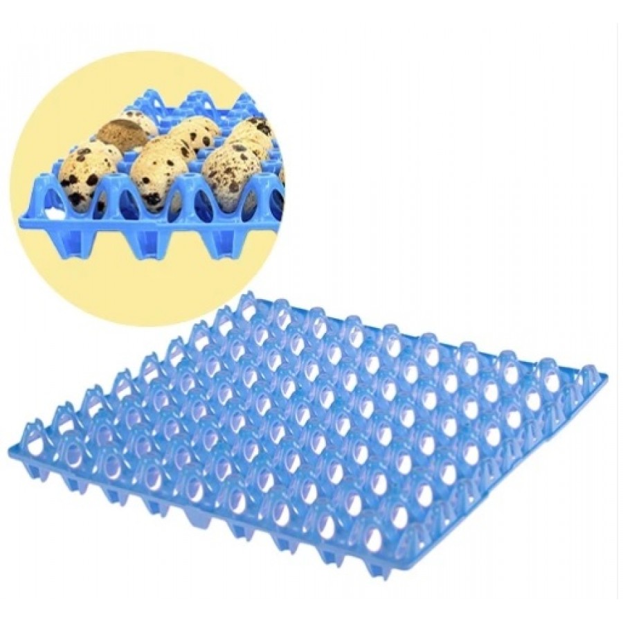 TABULEIRO DE PLASTICO P/72 OVOS CODORNIZ TABULEIRO DE PLASTICO P/72 OVOS CODORNIZ