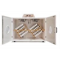 INCUBADORA MASALLES 870 I-PDS