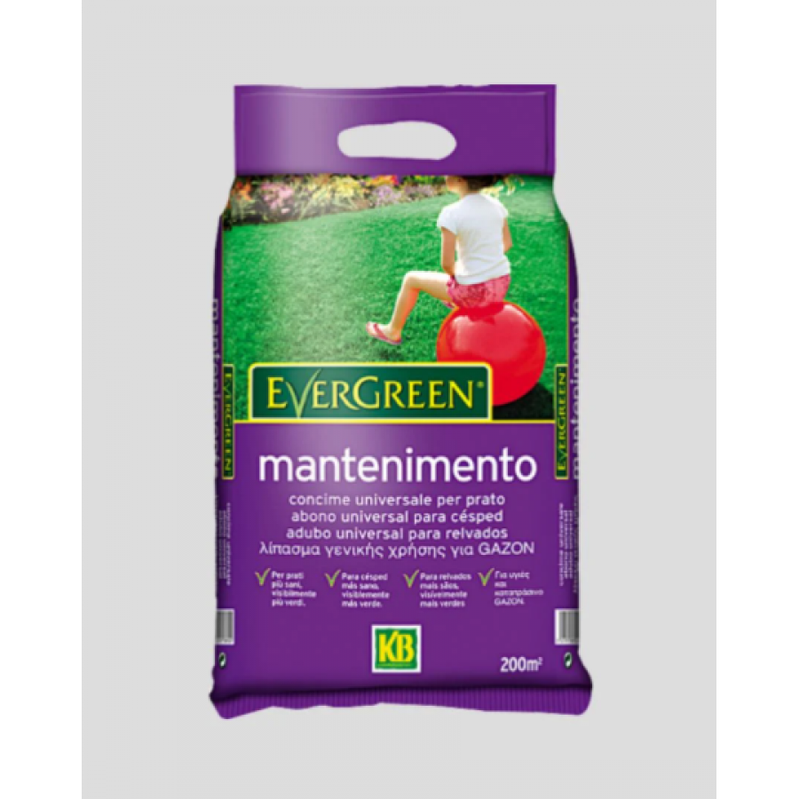 EVERGREEN ADUBO RELVADOS MANUTENÇAO PLUS - 4KG EVERGREEN ADUBO RELVADOS MANUTENÇAO PLUS - 4KG