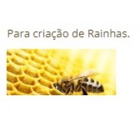 CONFORTEK INCUBADORA OSIRIS 170BEE - ESPECIAL ABELHAS CONFORTEK INCUBADORA OSIRIS 170BEE - ESPECIAL ABELHAS