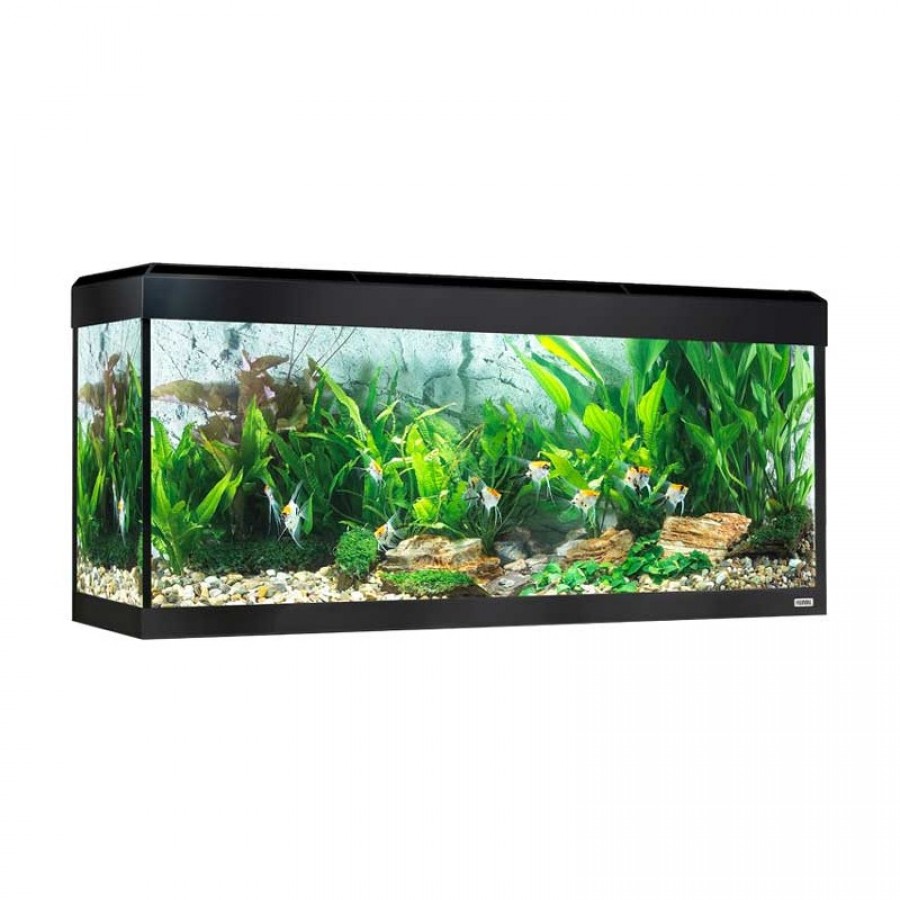 AQUARIO PRETO ROMA 240LT COM ILUMINAÇÃO LED BLUETOOTH + MESA EM PRETO AQUARIO PRETO ROMA 240LT COM ILUMINAÇÃO LED BLUETOOTH + MESA EM PRETO