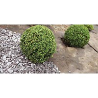 DUPONT PLANTEX PRO WEEDMAX - ROLO 1X50M ( 90G/M2) DUPONT PLANTEX PRO WEEDMAX - ROLO 1X50M ( 90G/M2)