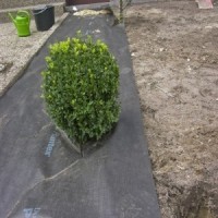 TELA PLANTEX PREMIUM PLUS WEEDMAX - ROLO 1,15X10M ( 125 G/M2) TELA PLANTEX PREMIUM PLUS WEEDMAX - ROLO 1,15X10M ( 125 G/M2)