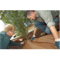TELA PLANTEX PREMIUM PLUS WEEDMAX - ROLO 1,15X10M ( 125 G/M2) TELA PLANTEX PREMIUM PLUS WEEDMAX - ROLO 1,15X10M ( 125 G/M2)