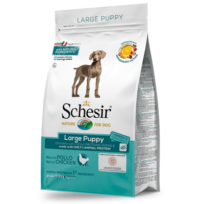 SCHESIR CAO LARGE PUPPY FRANGO -  12KG