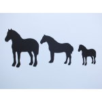 Misturas Cavalos