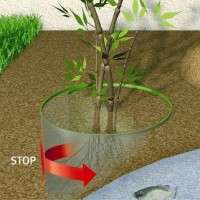 TELA PLANTEX ROOTBARRIER - ROLO 0.7X3M ( 325G/M2) TELA PLANTEX ROOTBARRIER - ROLO 0.7X3M ( 325G/M2)